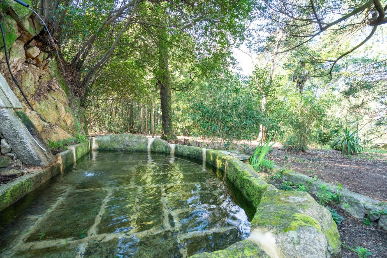 Quinta Das Lamas - Oak Tree House Vouzela Exteriör bild